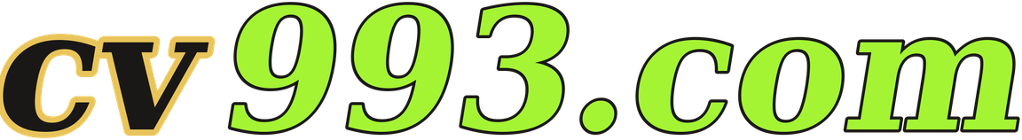 cv993.com logo